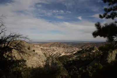 DSC_6255 (Large).JPG